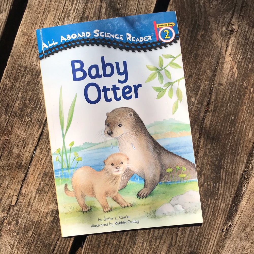 Baby otter educational kids book